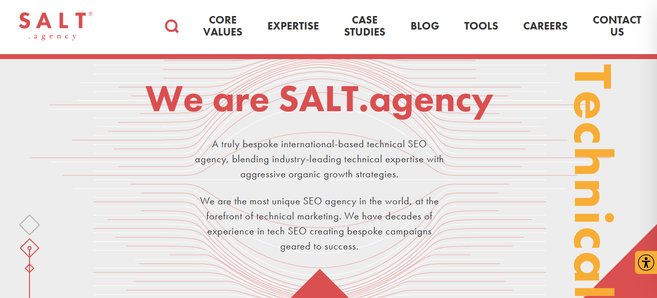 The SALT.agency homepage