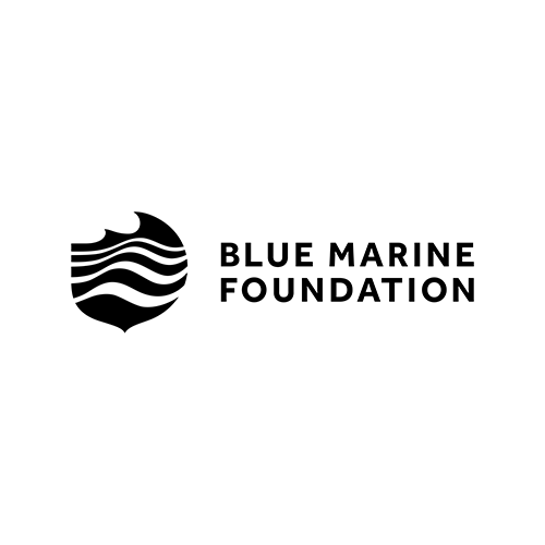 Blue Marine Foundation logo — wave motif in a shield shape beside bold text reading