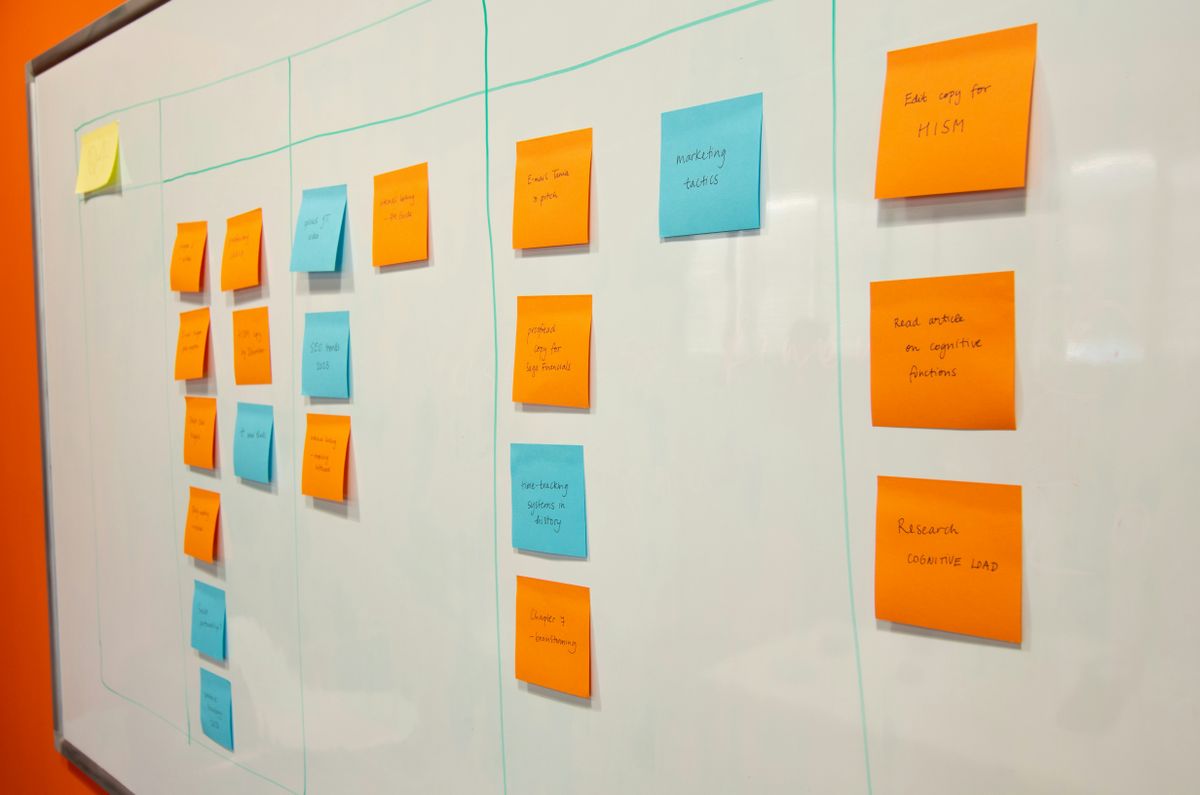 Industry-leading search strategy that maximises discoverability and growth